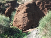 nte Mojo-30122011 112